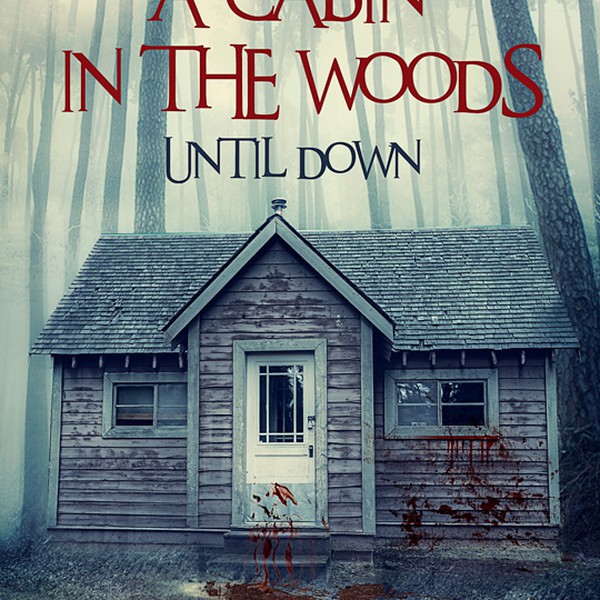 A cabin in the woods until down