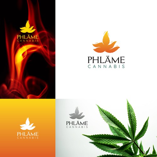  contest entry by Ravi_