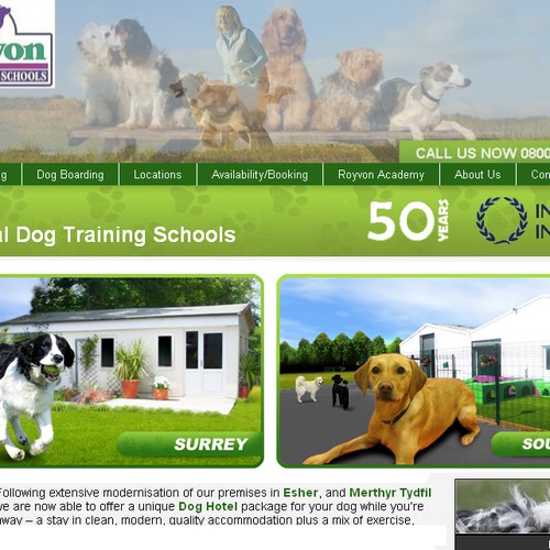 what-is-a-dog-hotel-called