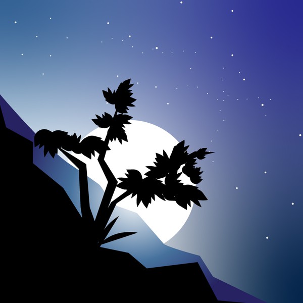 MOONLIGHT ILLUSTRATION