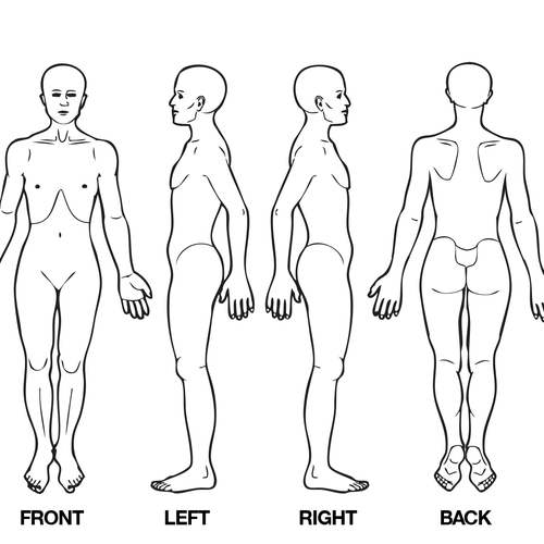 Body Diagram For Professional Massage Chart Front Back Left And Right Views Icon Or Button