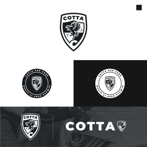 Heraldic Modern Logo for an Auto Detailing Business