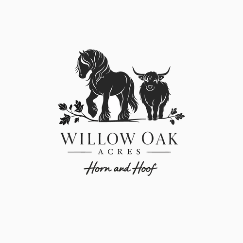 "Small Farm - Gypsy Vanner horses and mini highland cow experience" winning 