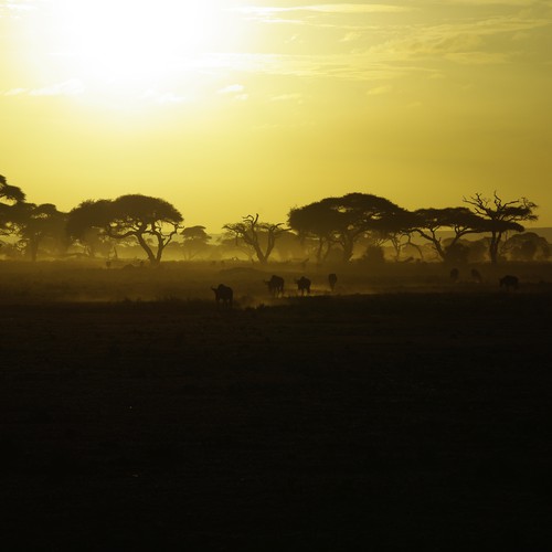 Design Rick Warren's New Book Cover Design by osnofla9