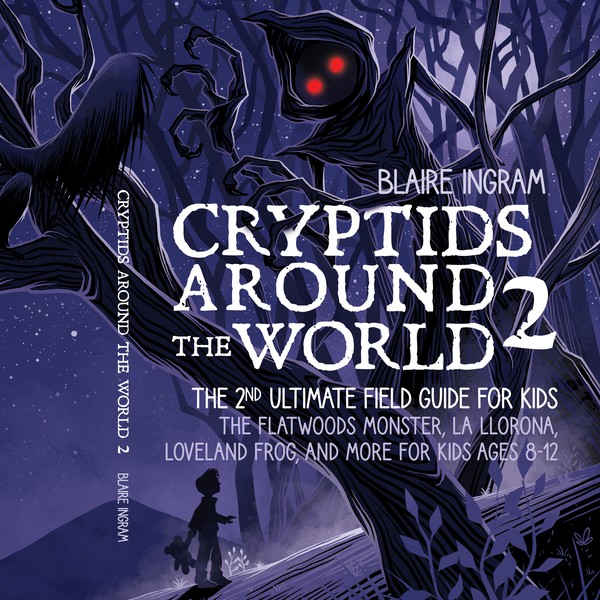 Book cover illustration