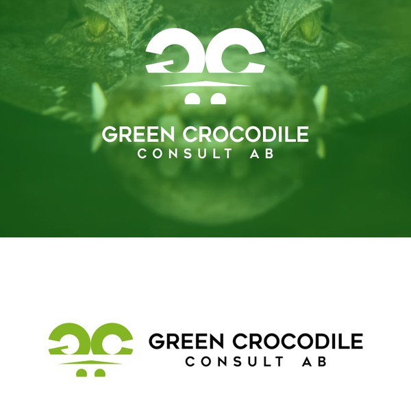 Logo for consulting company