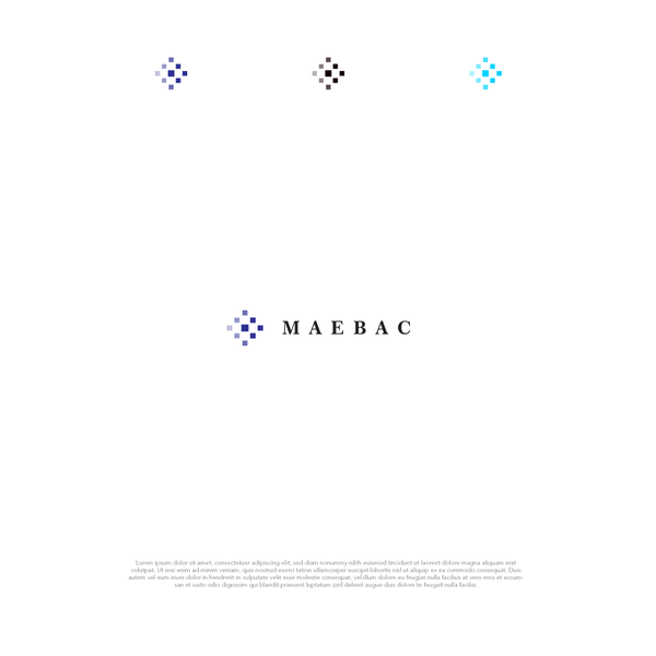 Diseño de Flowbase titulado "MAEBAC"