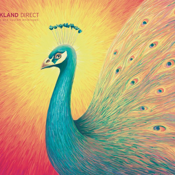 Peacock Illustration for Envelope Design