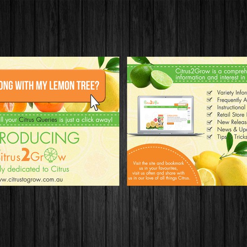 Citrus Site needs eye catching Promotional Post Card with zest and zing Design by HOPE STUDIO