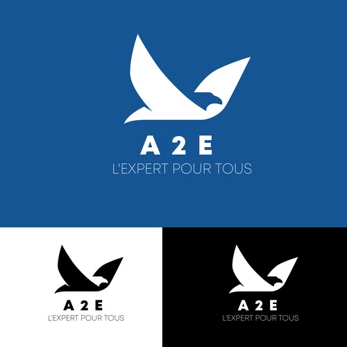 Logo & brand identity pack contest entry by david sierra design