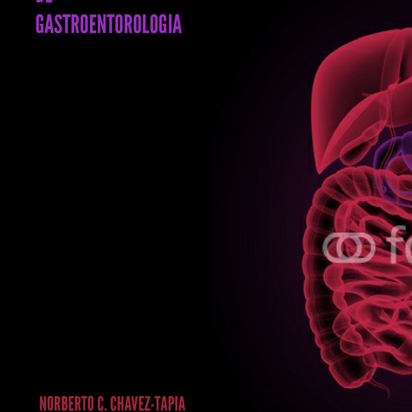 Crear una portada innovadora para un libro de gastroenterología