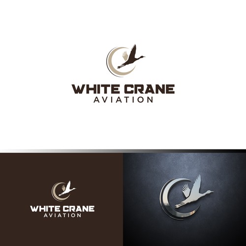 Logo for a Safe and Modern Aircraft rental company Design by ybur10