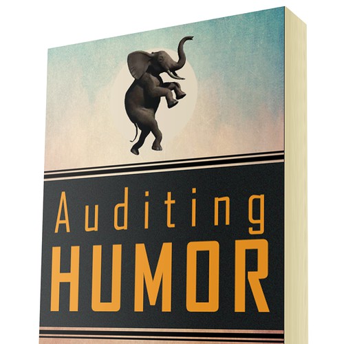 Internal Audit Humor Book Cover (Yes the writing is funny, take a look) Design by MDG-Design