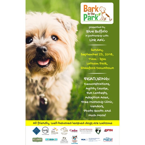 Bark in the Park  Stamford Downtown - This is the place!