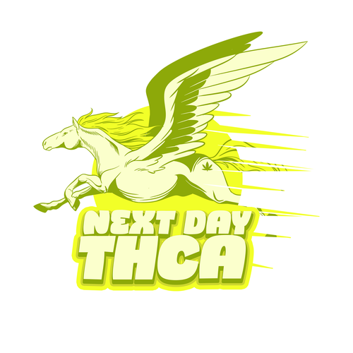 Next Day THCA Design by Fhrl_Akbr
