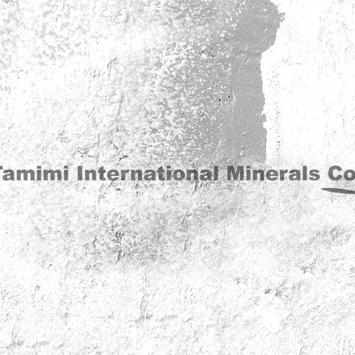 Help Tamimi International Minerals Co with a new logo Ontwerp door dandaroh
