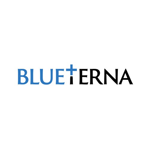 Blueterna Branding contest Design by Imam H.