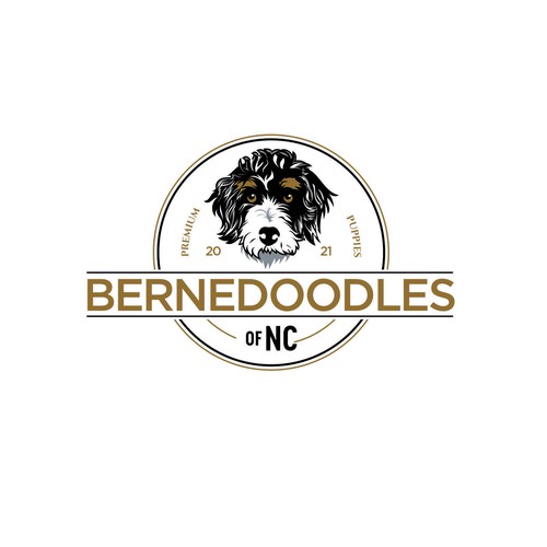 Bernedoodle dog logo capturing beauty & whimsical fun of the breed Design by F.canarin