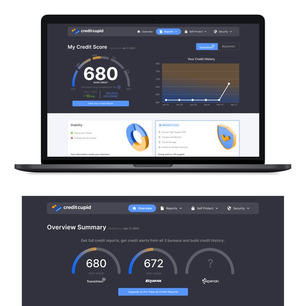 Credit Check Web App