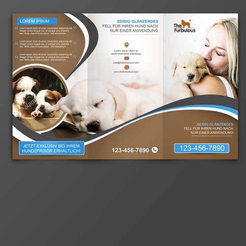 Brochure contest entry by Vivan M