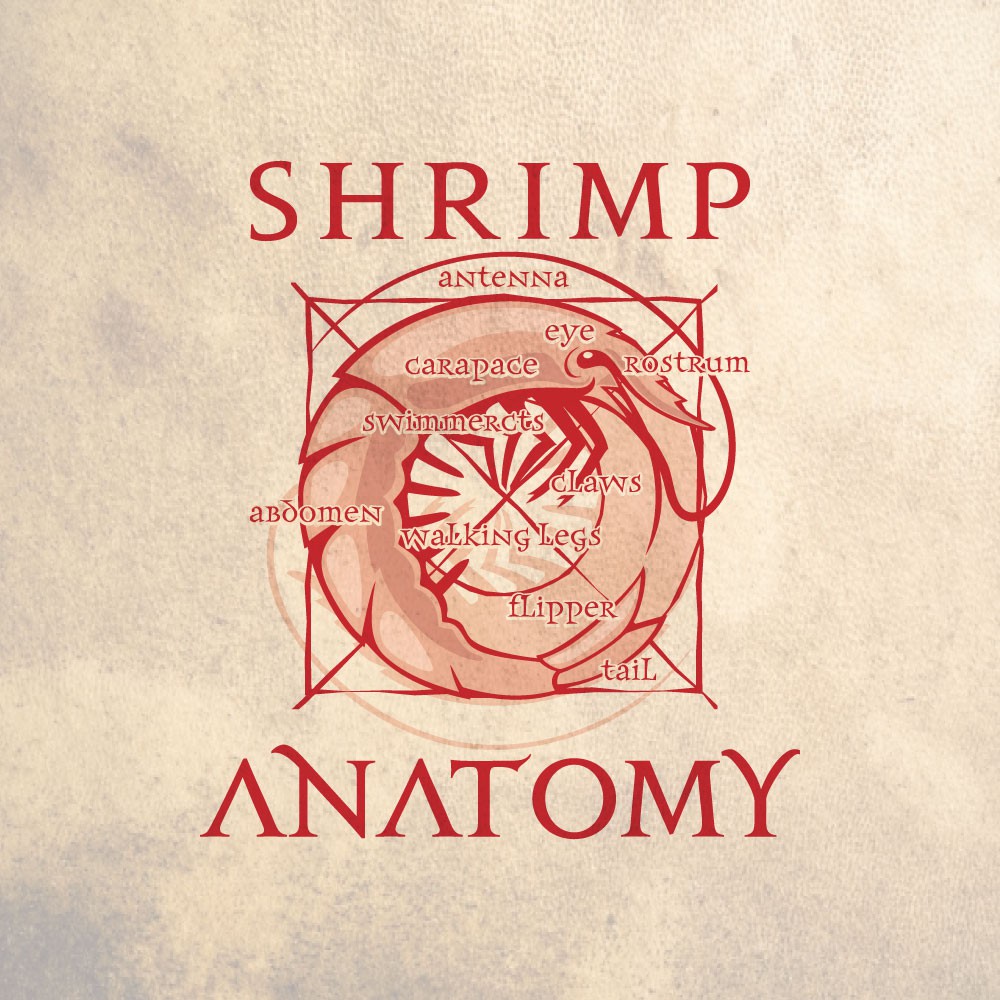 Anatomy Logos - Free Anatomy Logo Ideas, Design & Templates