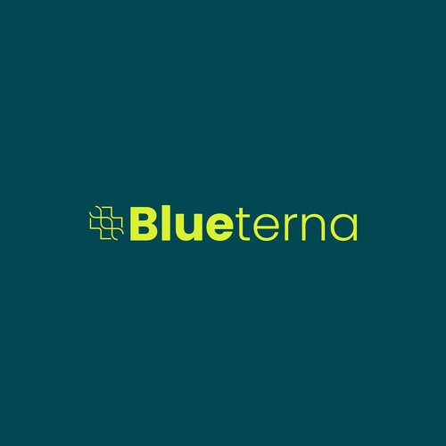 Blueterna Branding contest Design by ASENSE BRANDING