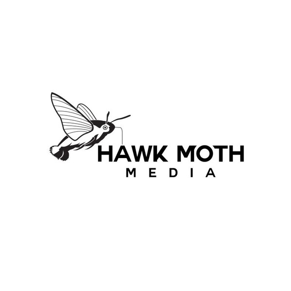 Hawk moth