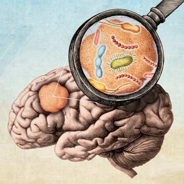 Nature Cancer Magazine Cover