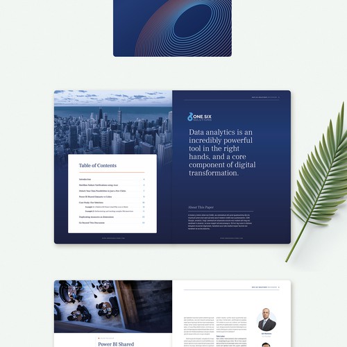 Designs | Digital brochure/whitepaper template for data and software ...