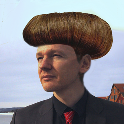 Design the next great hair style for Julian Assange (Wikileaks) Réalisé par Isabels Designs