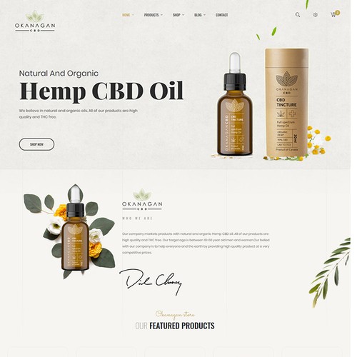 WordPress theme design contest entry by Paiton