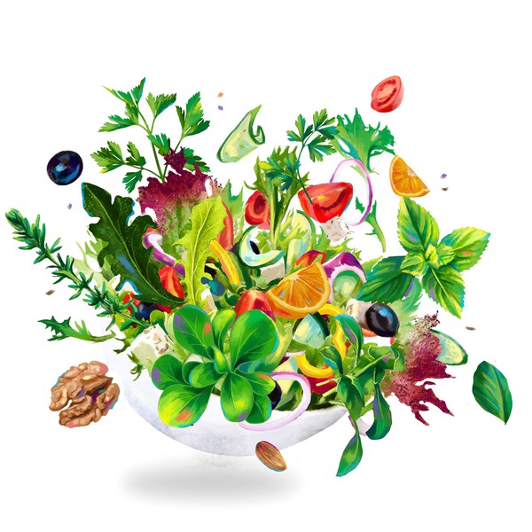 Colorful Illustration for a cooking book