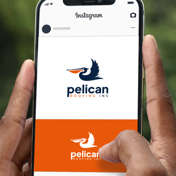 pelican