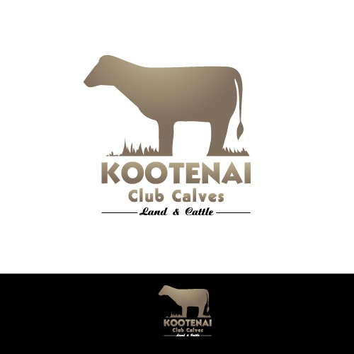 Kootenai Club Calves