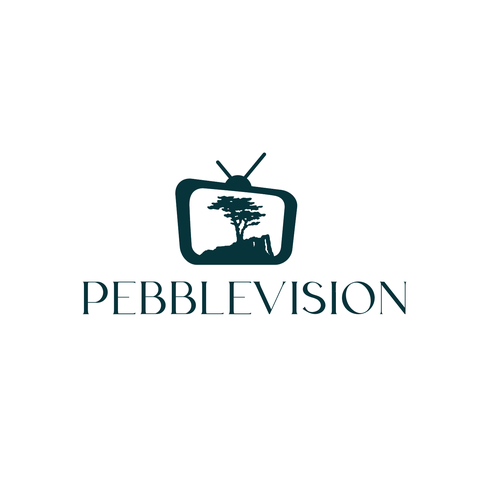 PebbleVision Design by rulasic