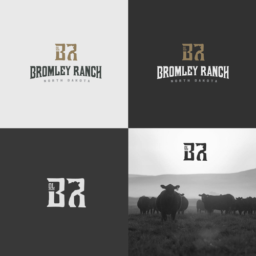 "Need strong design for large angus cattle ranch and farm in North Dakota" winning Logo design