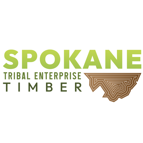 We need a clean new logo for a Native American Tribe logging company. Design by mmholmes