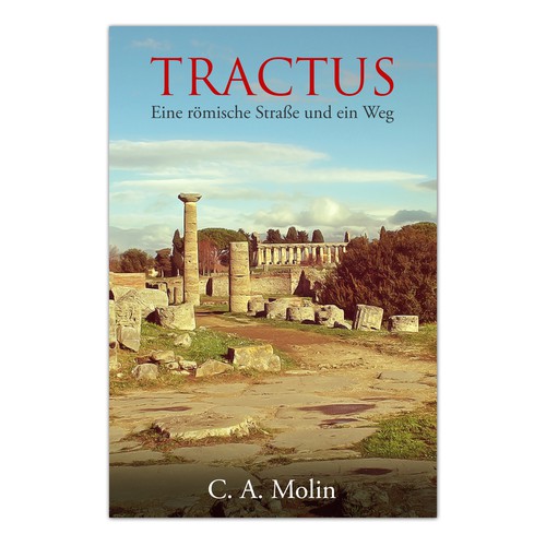 Book cover contest entry by bravoboy