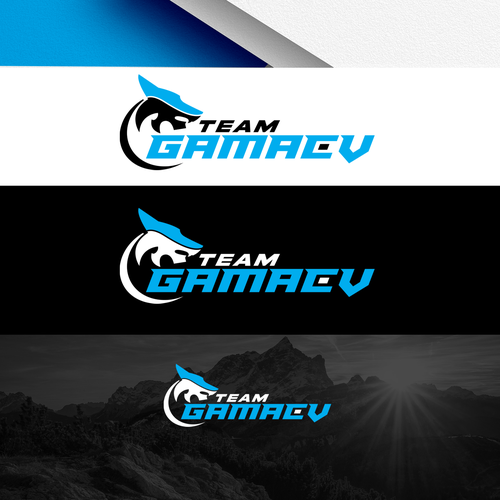 New Brand for martial arts Design by END™