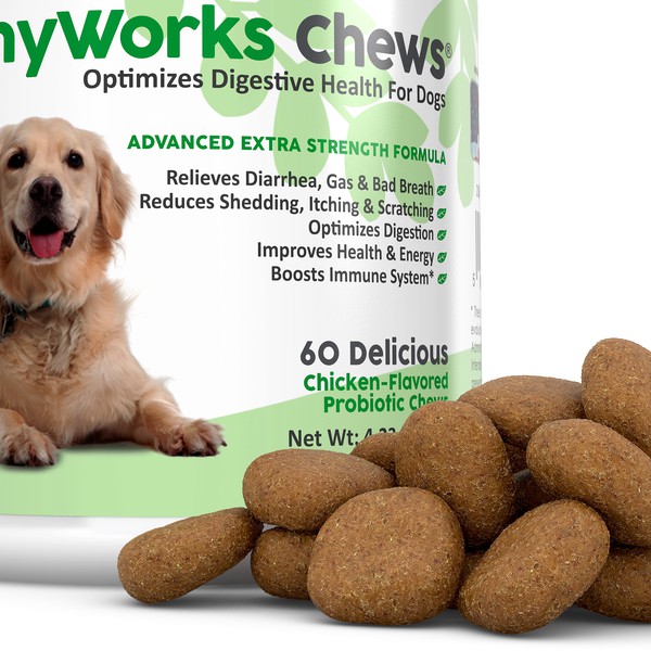 TummyWorks Chews 3D Image