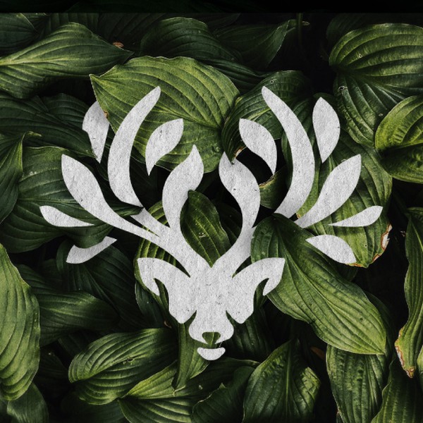 Leafdeer Brand Identity
