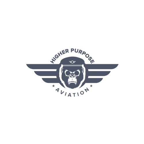 Higher Purpose Aviation Design by Akash Mollik