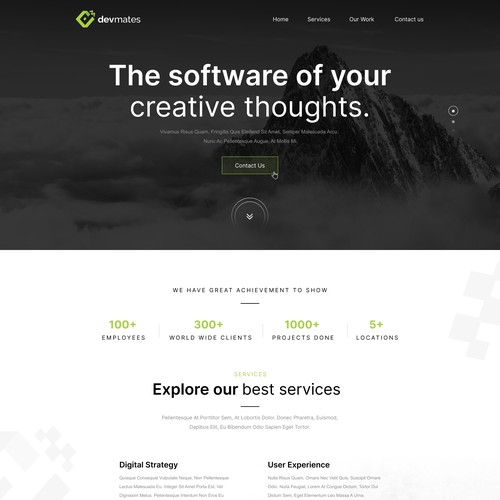 Website Design for Software Developer Company Design by WebNest™