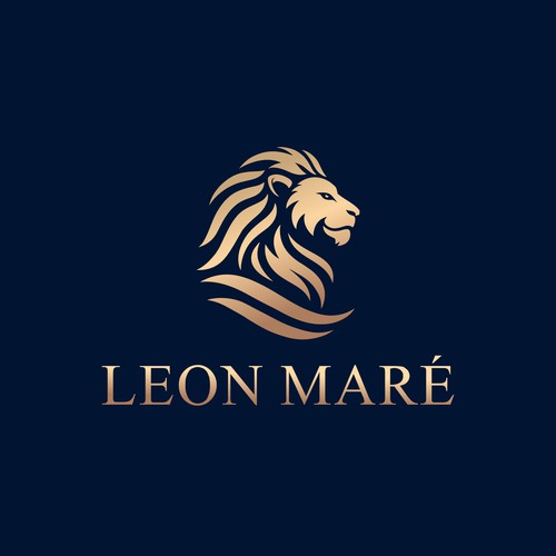 Logo design contest entry by Orn DESIGN