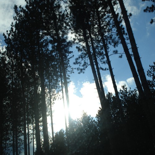 Design Rick Warren's New Book Cover Design by kdosh11