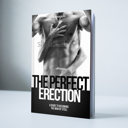 ebook cover - The Perfect Erection