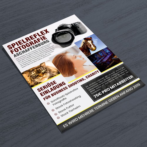 Futter Fur Fotos Business Fotos Fur Tierheim Spende Postcard Flyer Or Print Contest 99designs