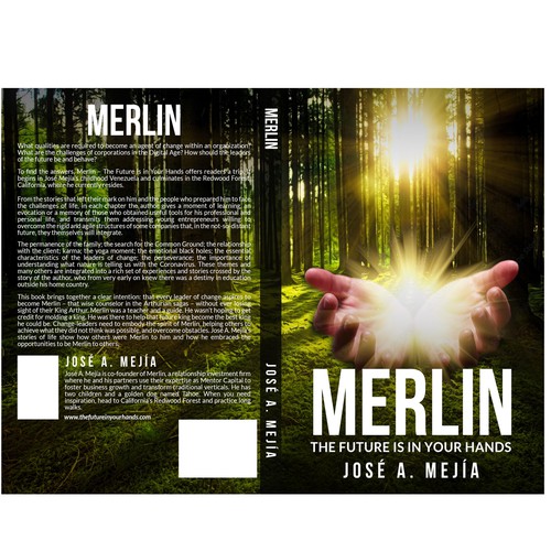 Book Cover Design for a  Personal Development Book Design by Alex_82