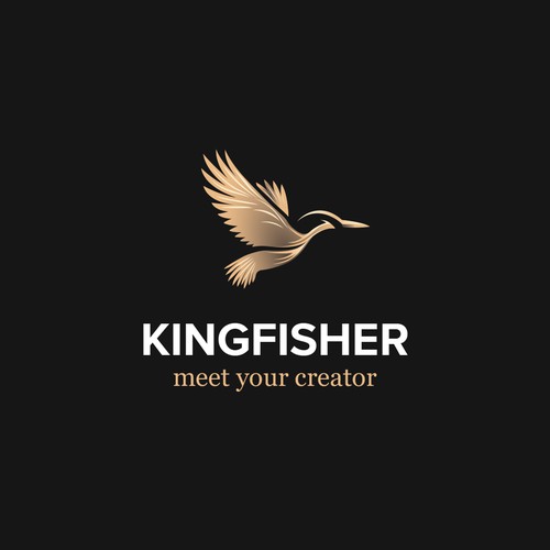  contest entry by brandingmaestro