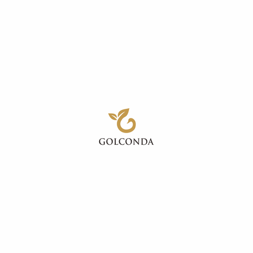 Financial services firm needs memorable logo highlighting excellence, diligence, and innovation! Design by hendraguns11